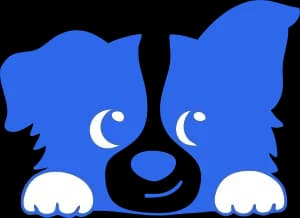 Domi 3D brand mark